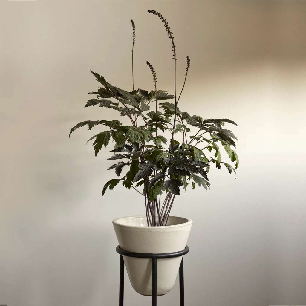 Audo Daiza Planter H65 Ø25cm - Image 6