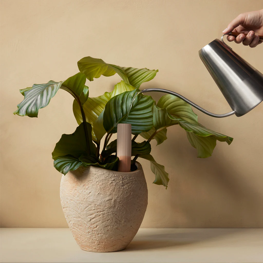 Audo Plantas Planter H24cm - Image 2