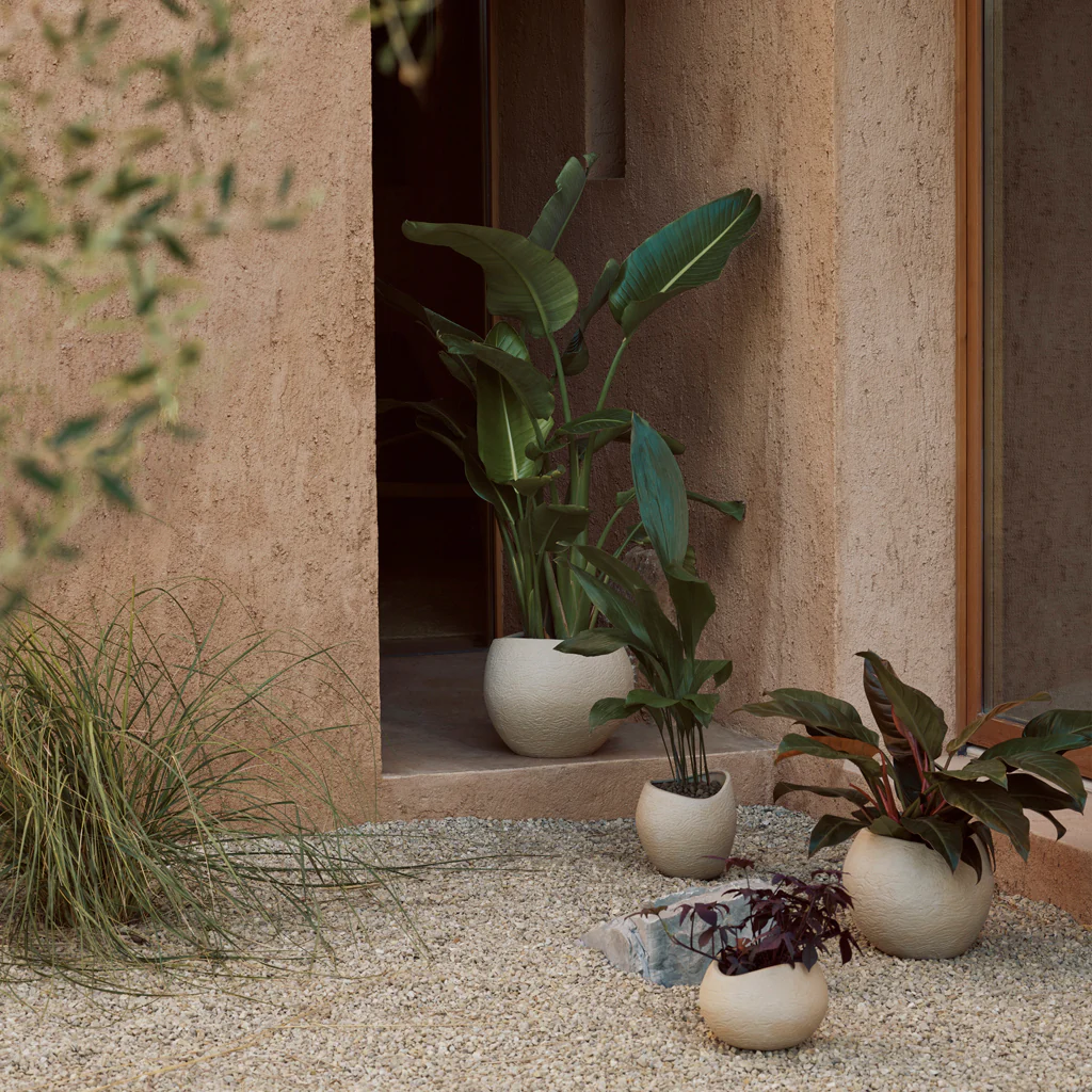 Audo Plantas Planter H26cm - Image 4