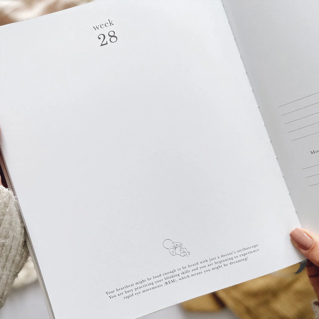 Blush & Gold Pregnancy Journal Grey - Image 11