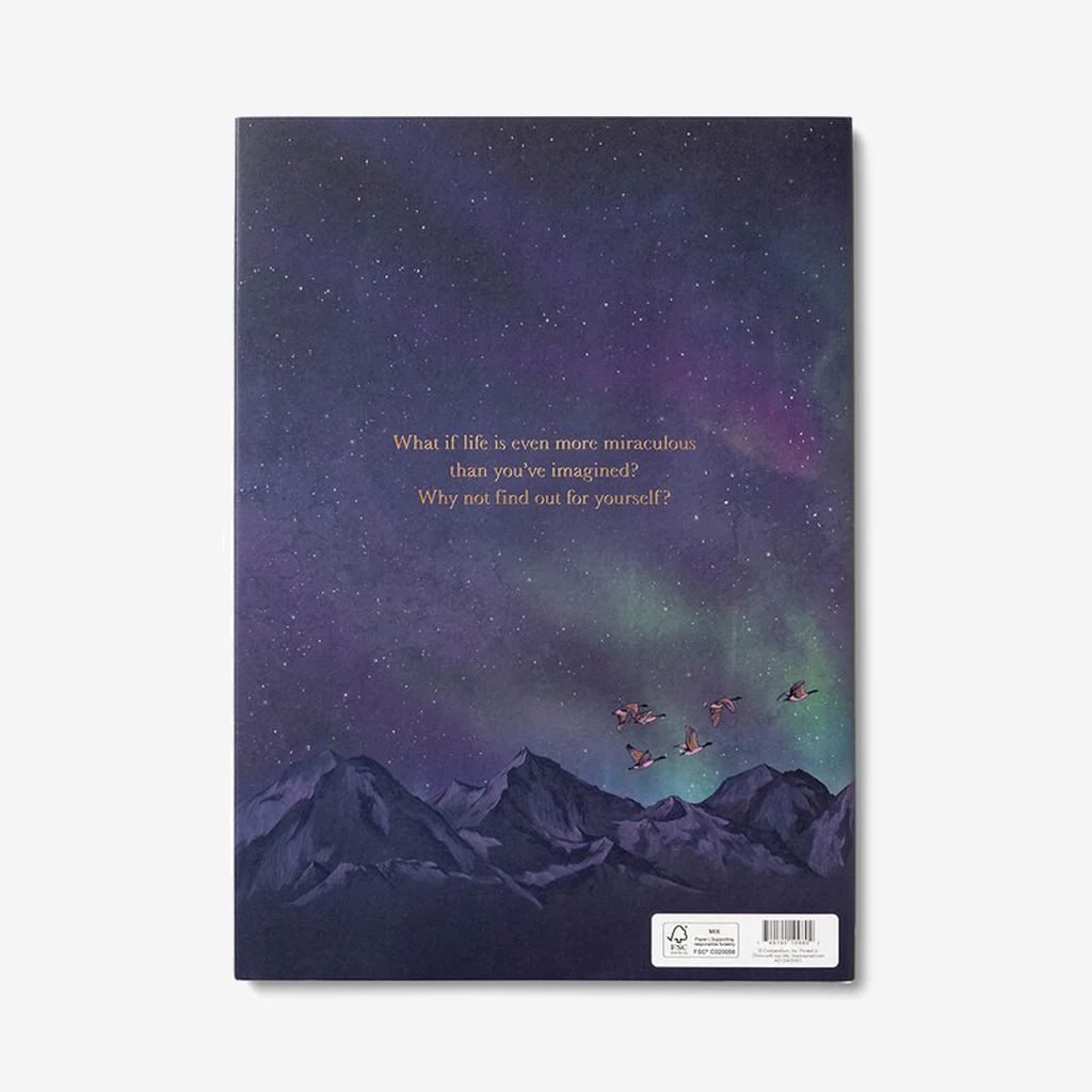 Book : Why Not by Kobi Yamada - Image 8