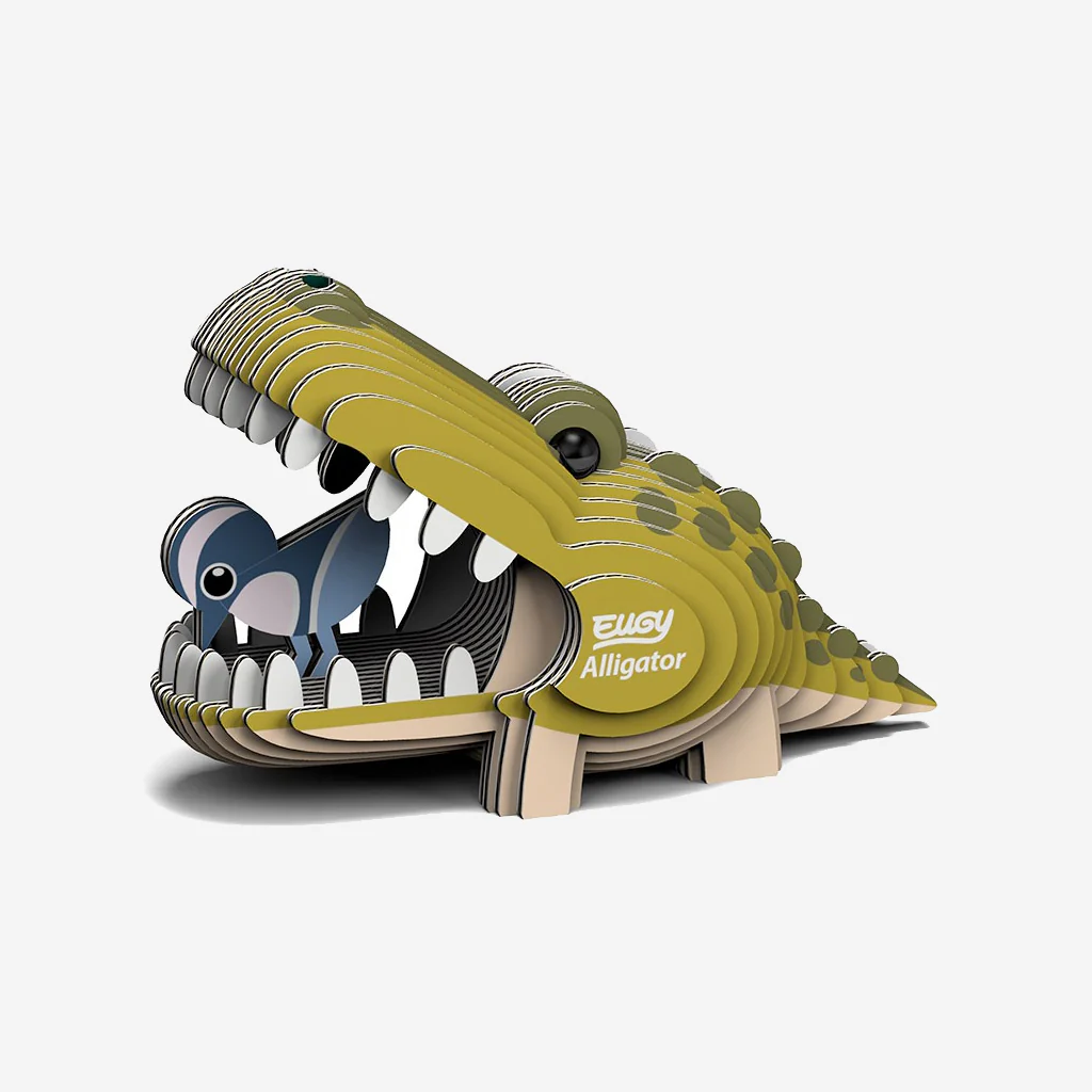 Eugy Alligator - Image 2