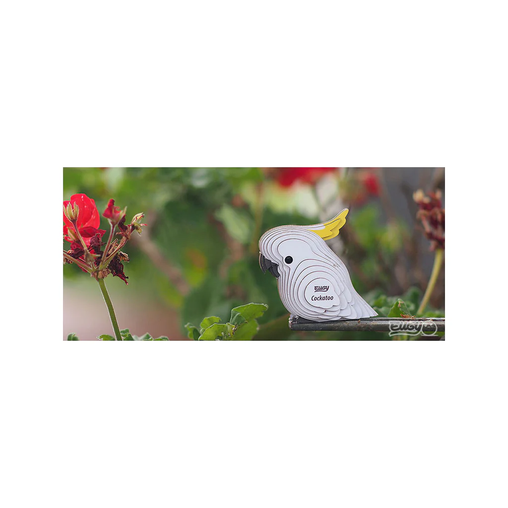 Eugy Cockatoo - Image 6