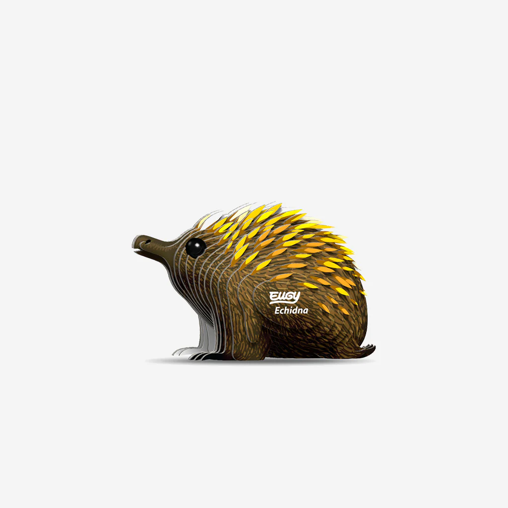 Eugy Echidna