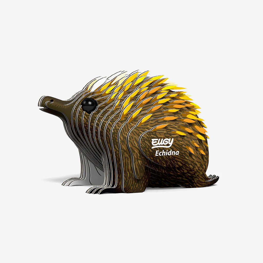 Eugy Echidna - Image 2