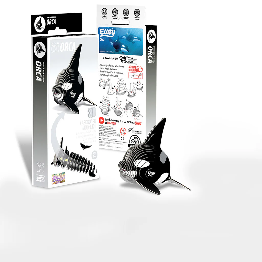 Eugy Orca - Image 6