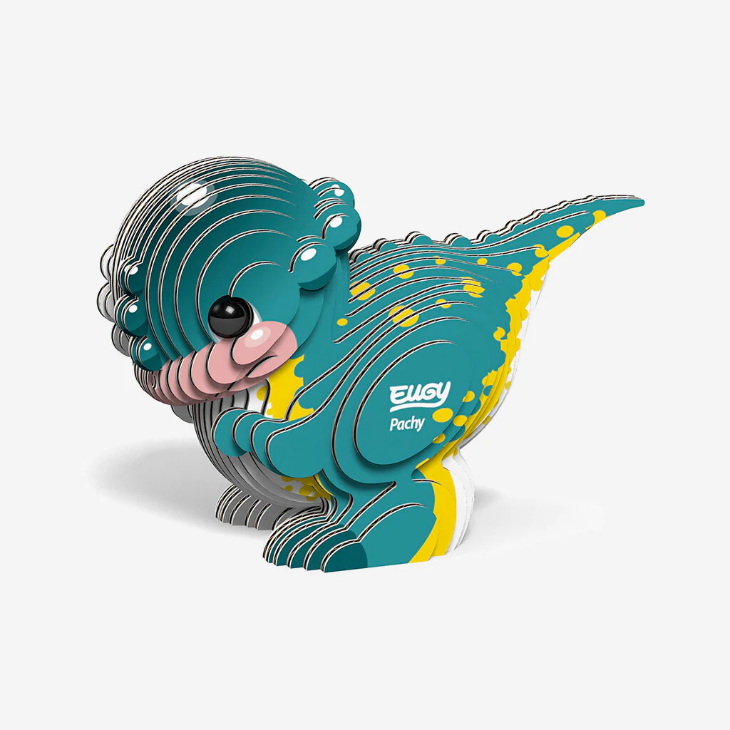 Eugy Pachy - Image 2