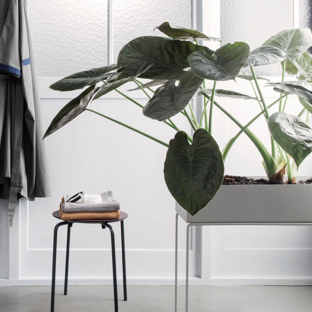Ferm Living Plant Box Light Grey - Image 5