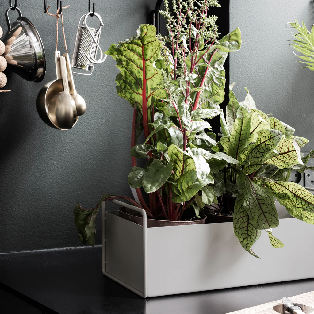 Ferm Living Plant Box Small Light Grey - Image 6