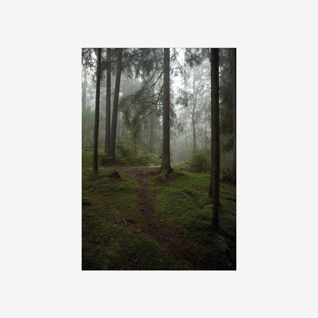 Fine Little Day Glanta Print 50x40cm - Image 4