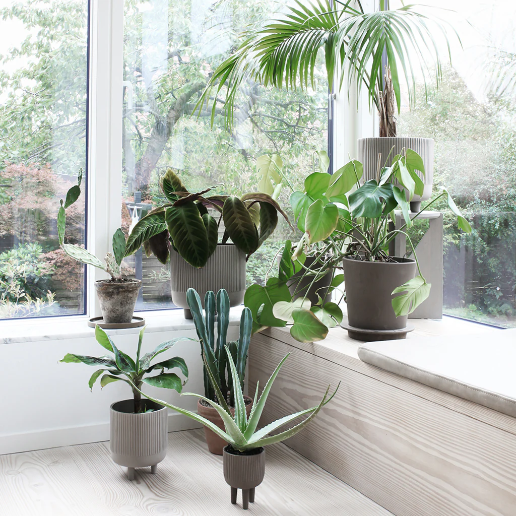 Kristina Dam Bowl Planter Small - Image 4