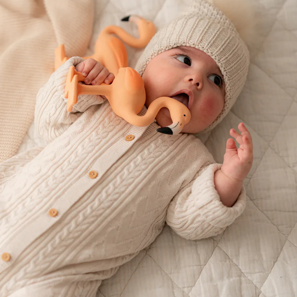 Lingo The Flamingo Baby Teether - Image 2