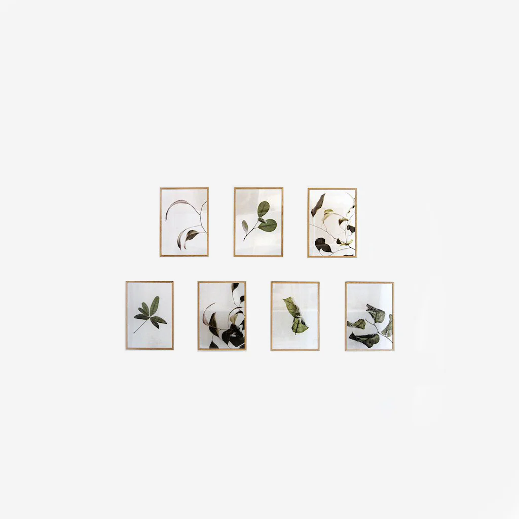 Moebe Floating Leaves Transparent Print 02 - Image 3