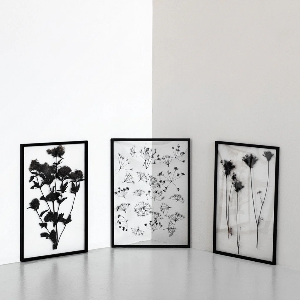 Moebe Frame Black A2 - Image 9