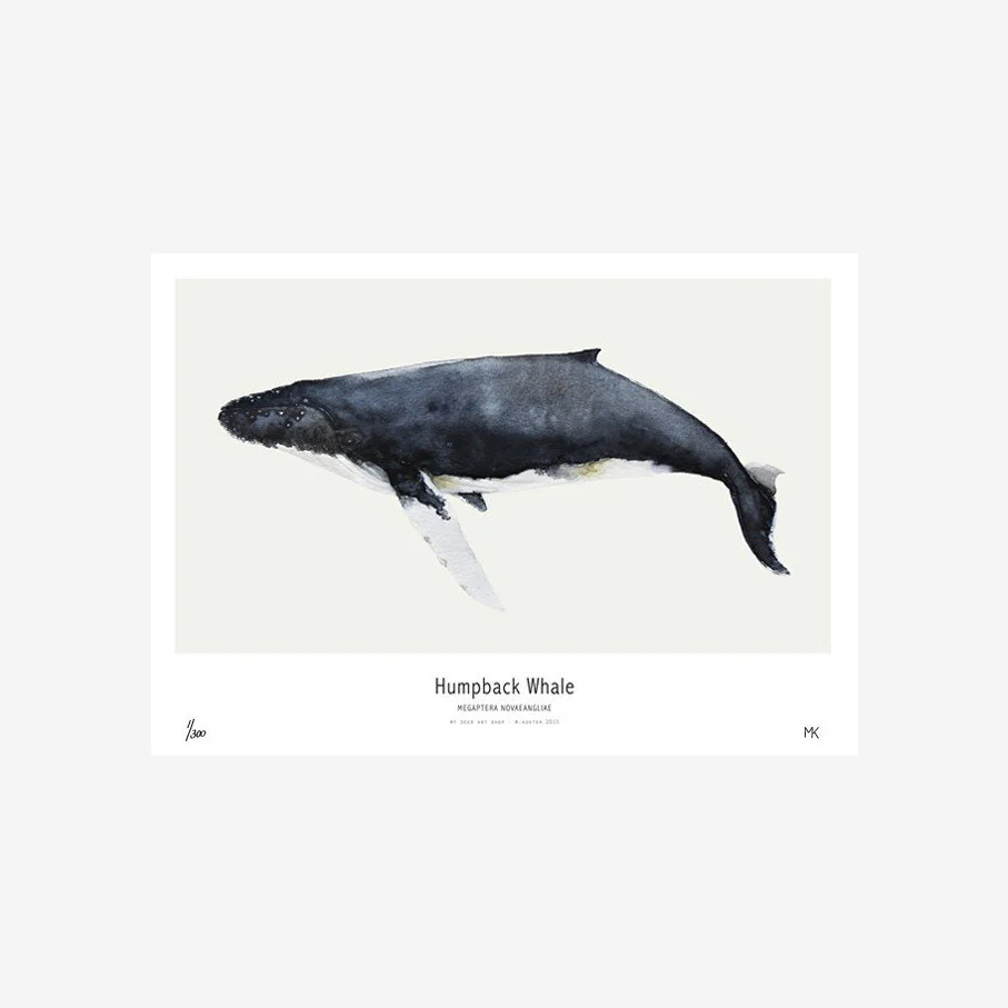 My Deer Whale Watercolour Print