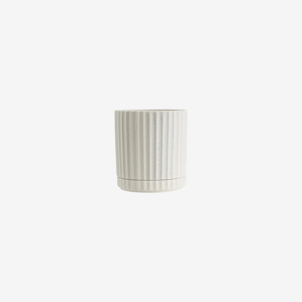 Potted Athens Pot Medium