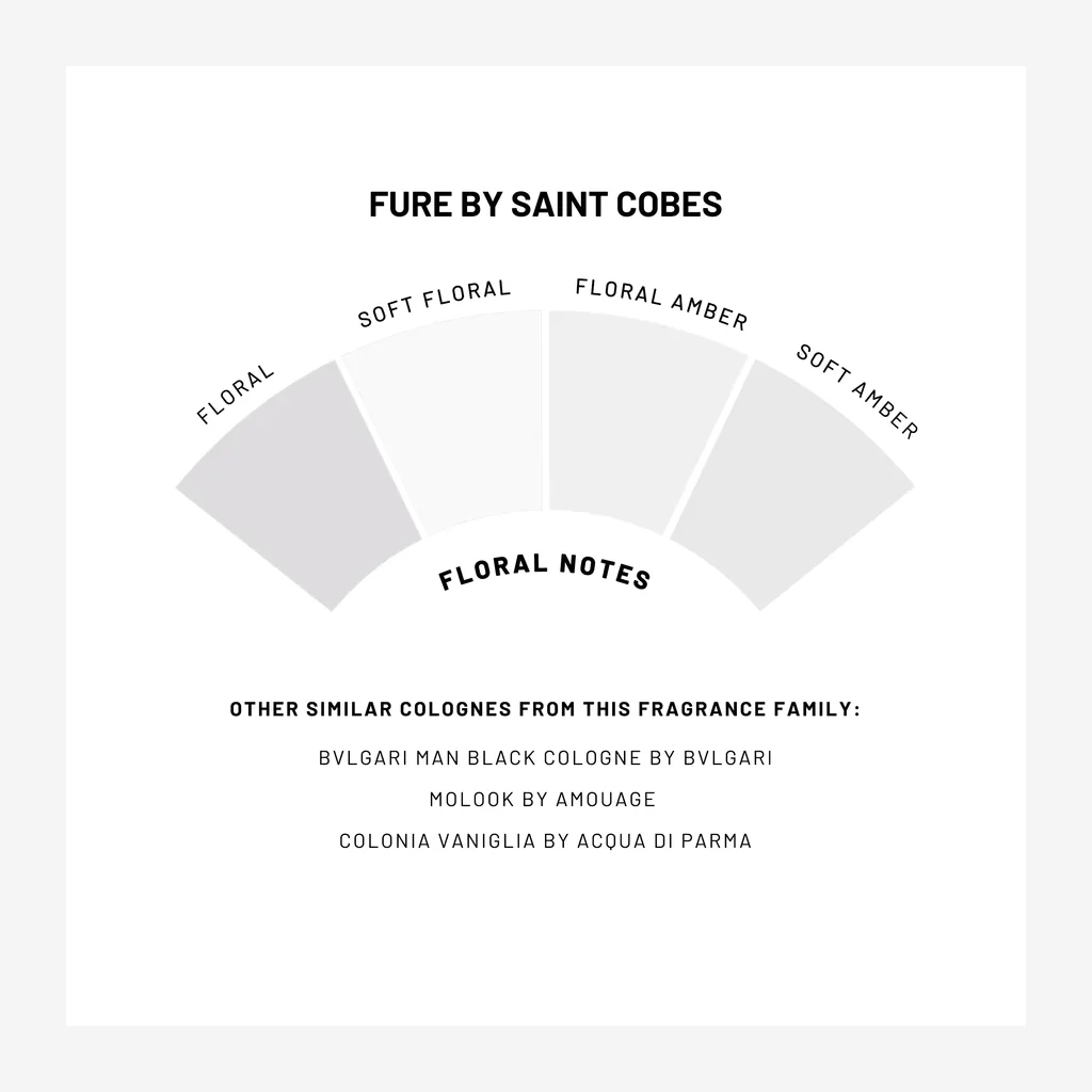 Saint Cobes Solid Cologne Fure - Image 10