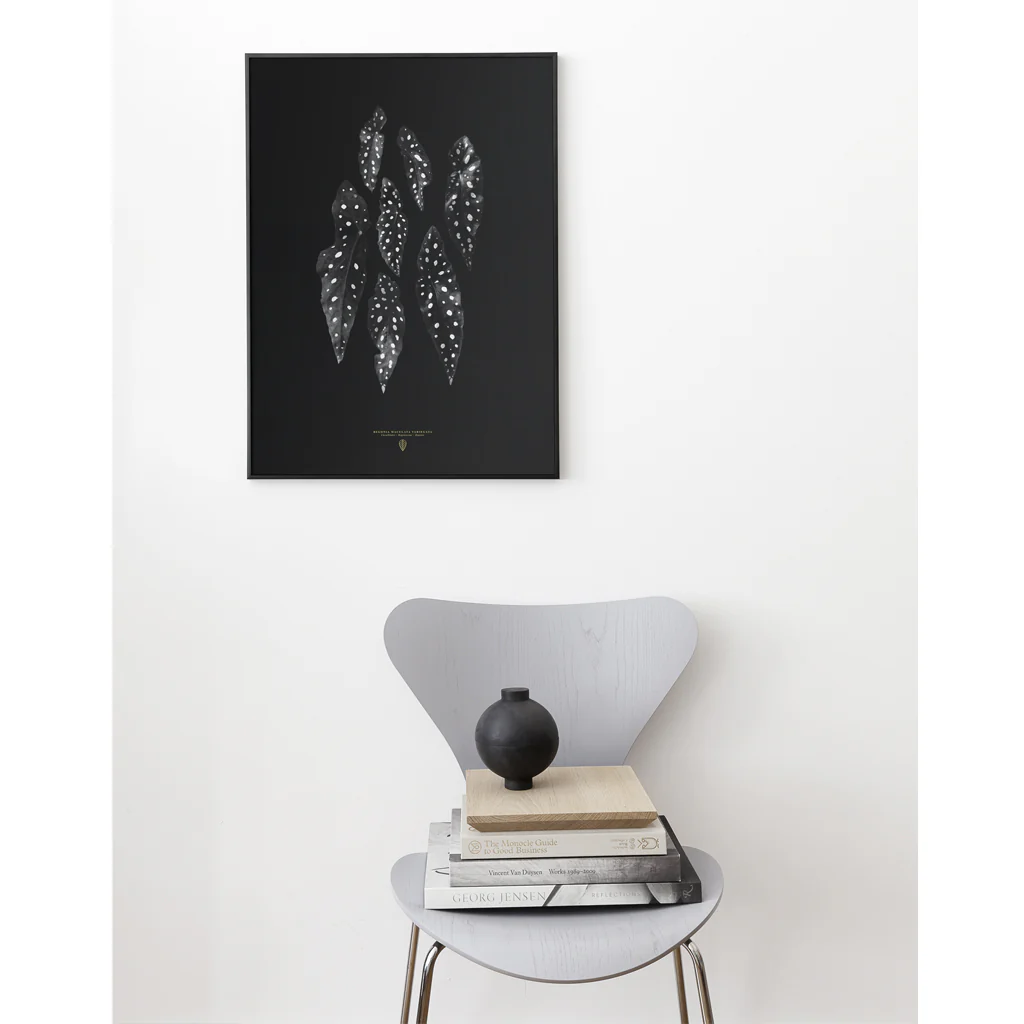 Sarah Cocolapine Begonia Maculata Print - Image 6