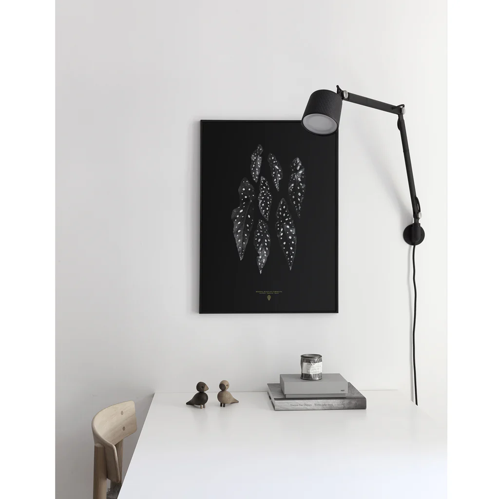 Sarah Cocolapine Begonia Maculata Print - Image 7