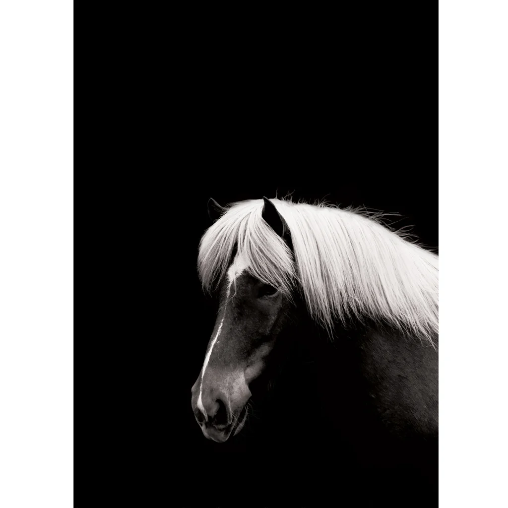Sarah Cocolapine Hestur Horse Print - Image 2