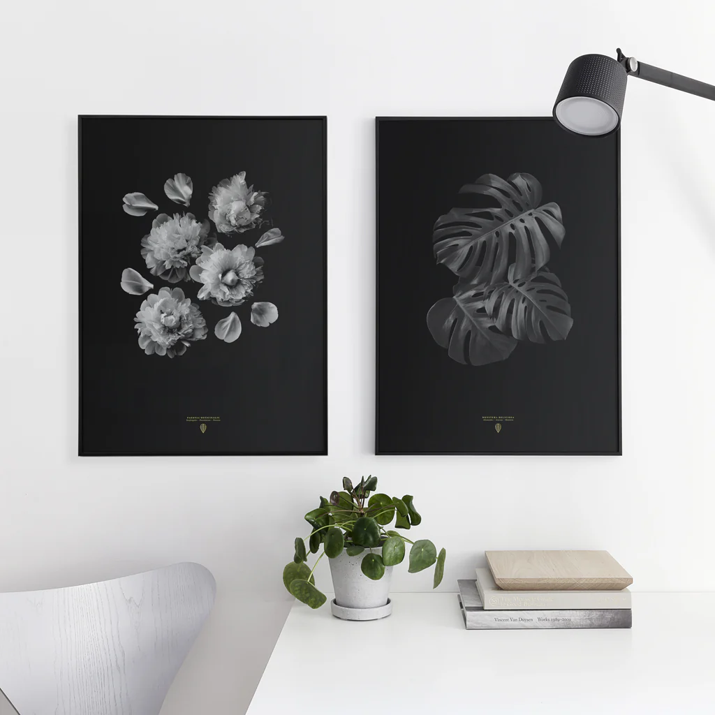 Sarah Cocolapine Paeonia Officinalis Print - Image 3