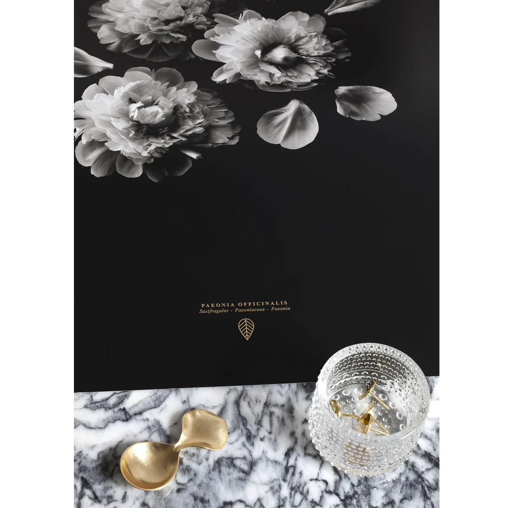 Sarah Cocolapine Paeonia Officinalis Print - Image 4