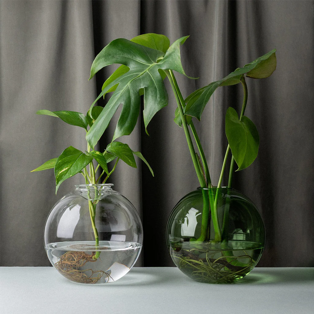 Studio Milligram Bulb Planter Clear 18cm - Image 3