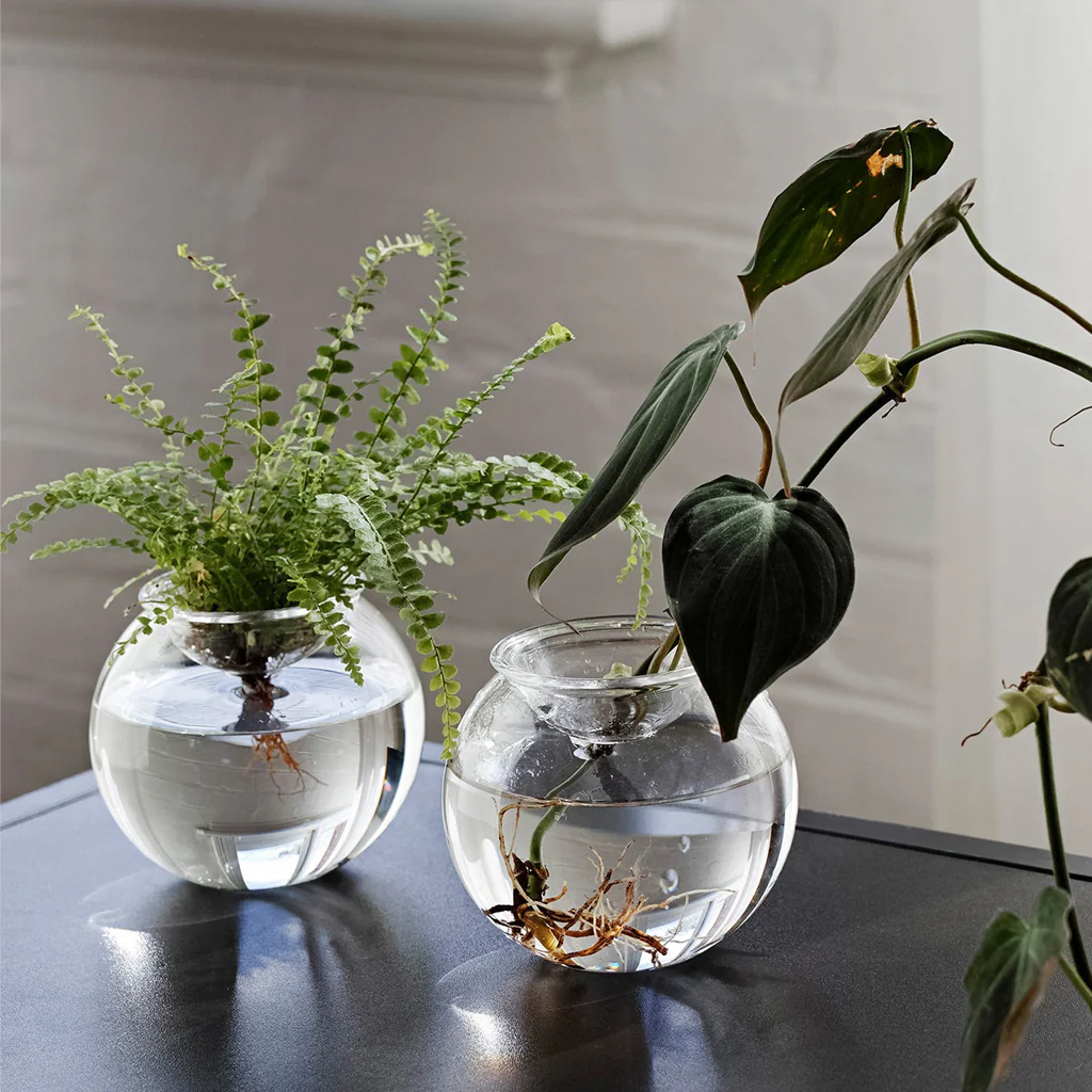 Studio Milligram Bulb Planter Small Set - Image 2