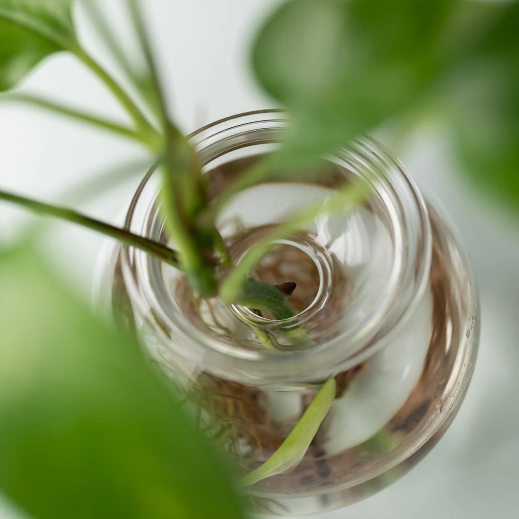 Studio Milligram Bulb Planter Small Set - Image 3