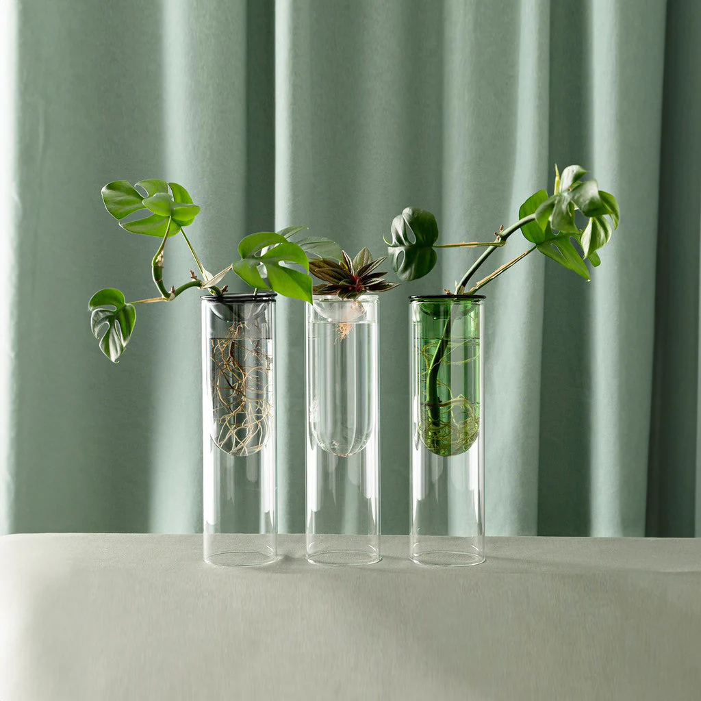 Studio Milligram Glass Propagation Vase Green - Image 3