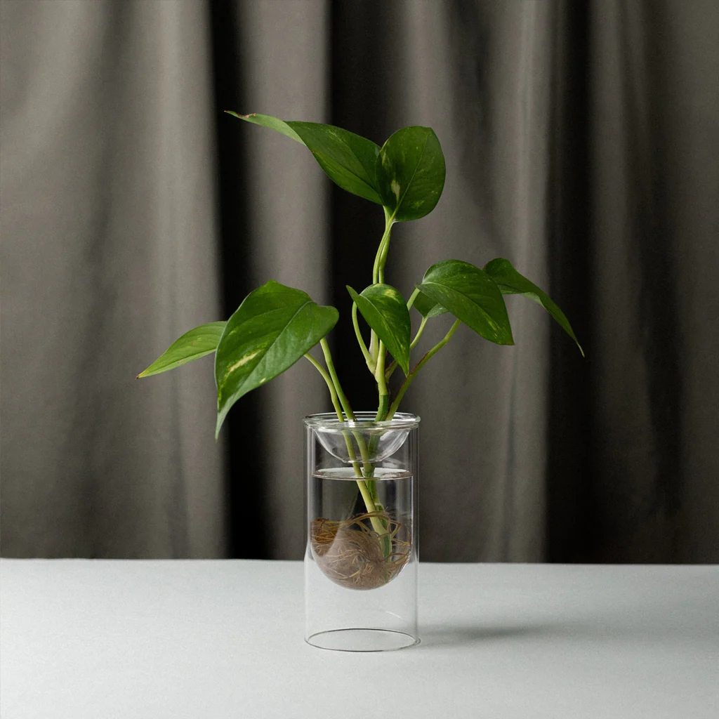 Studio Milligram Propagation Vase Small Set - Image 2