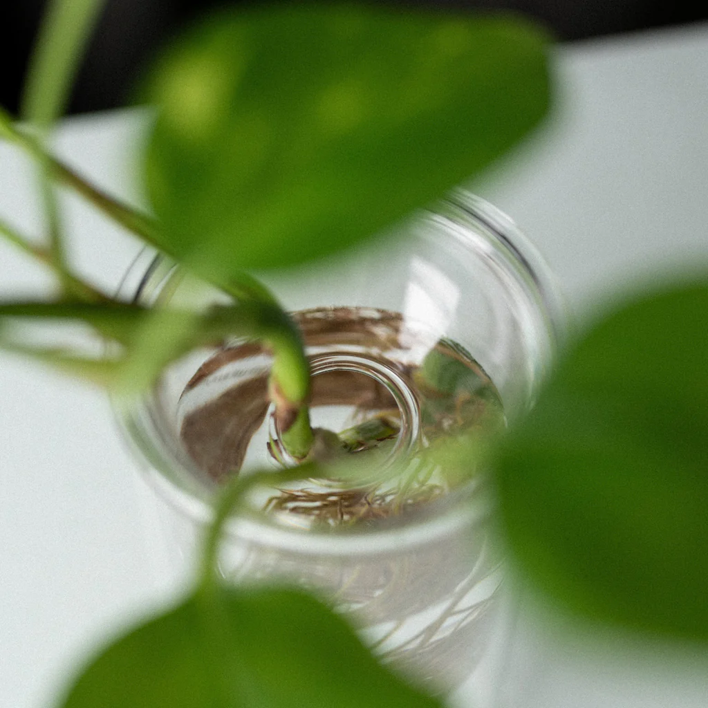 Studio Milligram Propagation Vase Small Set - Image 3