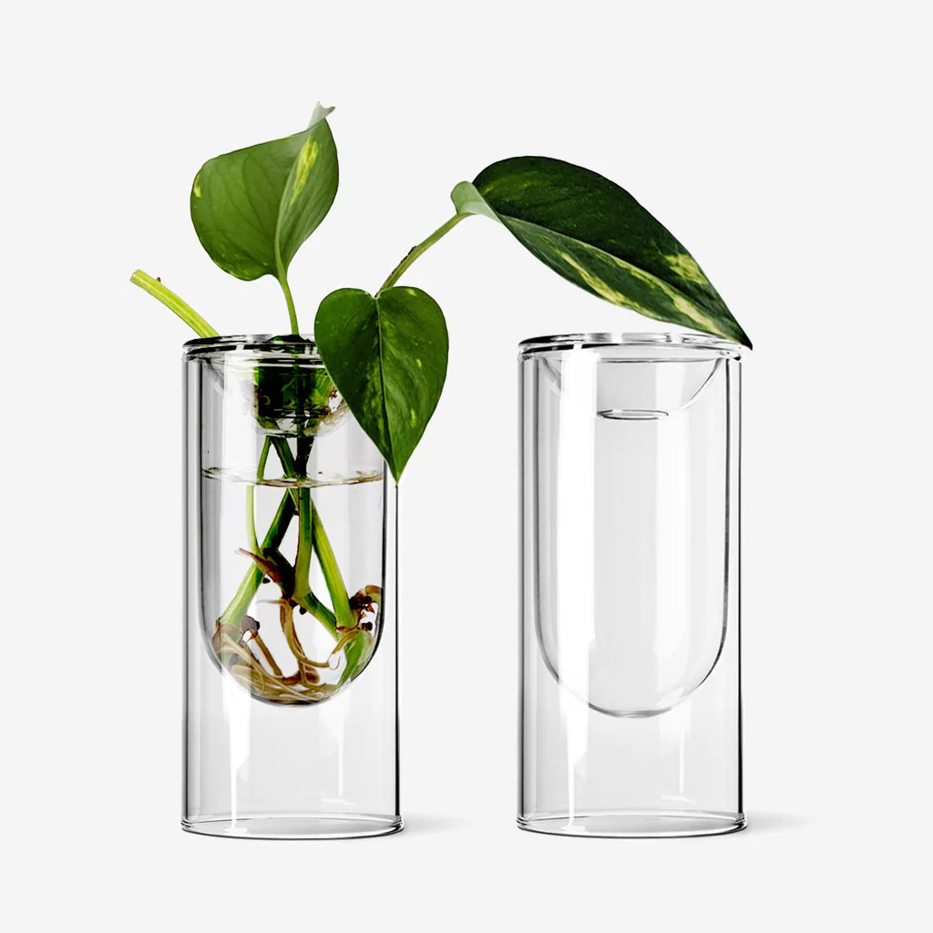 Studio Milligram Propagation Vase Small Set - Image 4