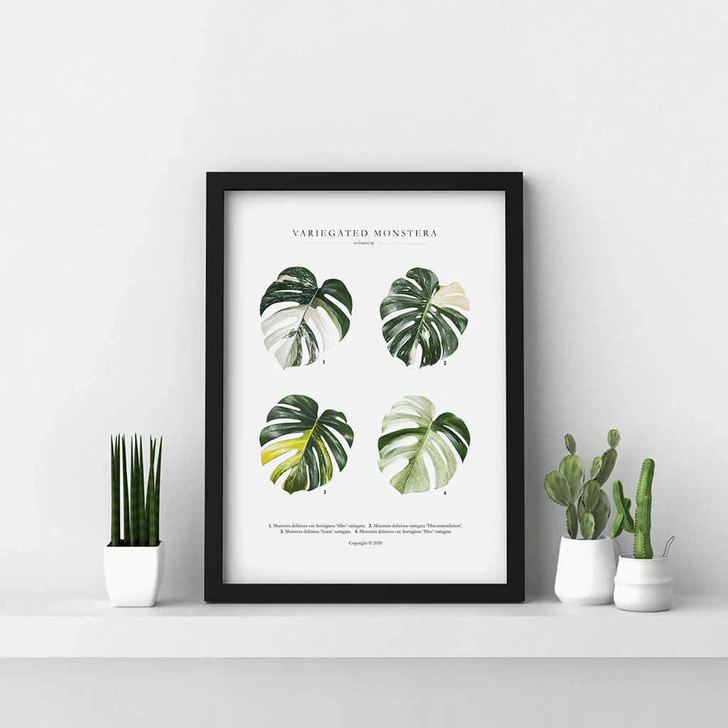 To Ban Cay Monstera Print - Image 2